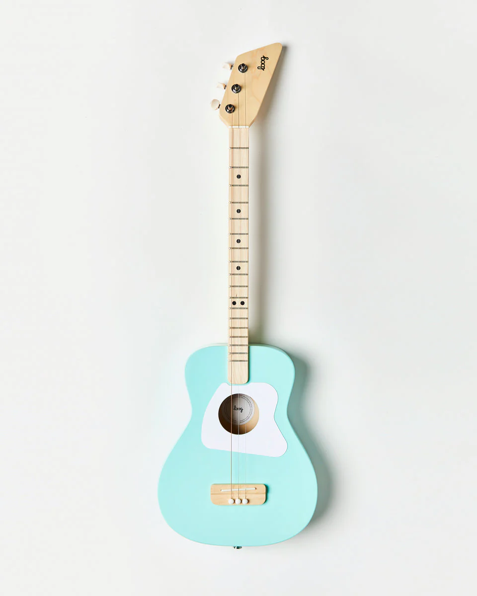 LOOG PRO ACOUSTIC - Image 2