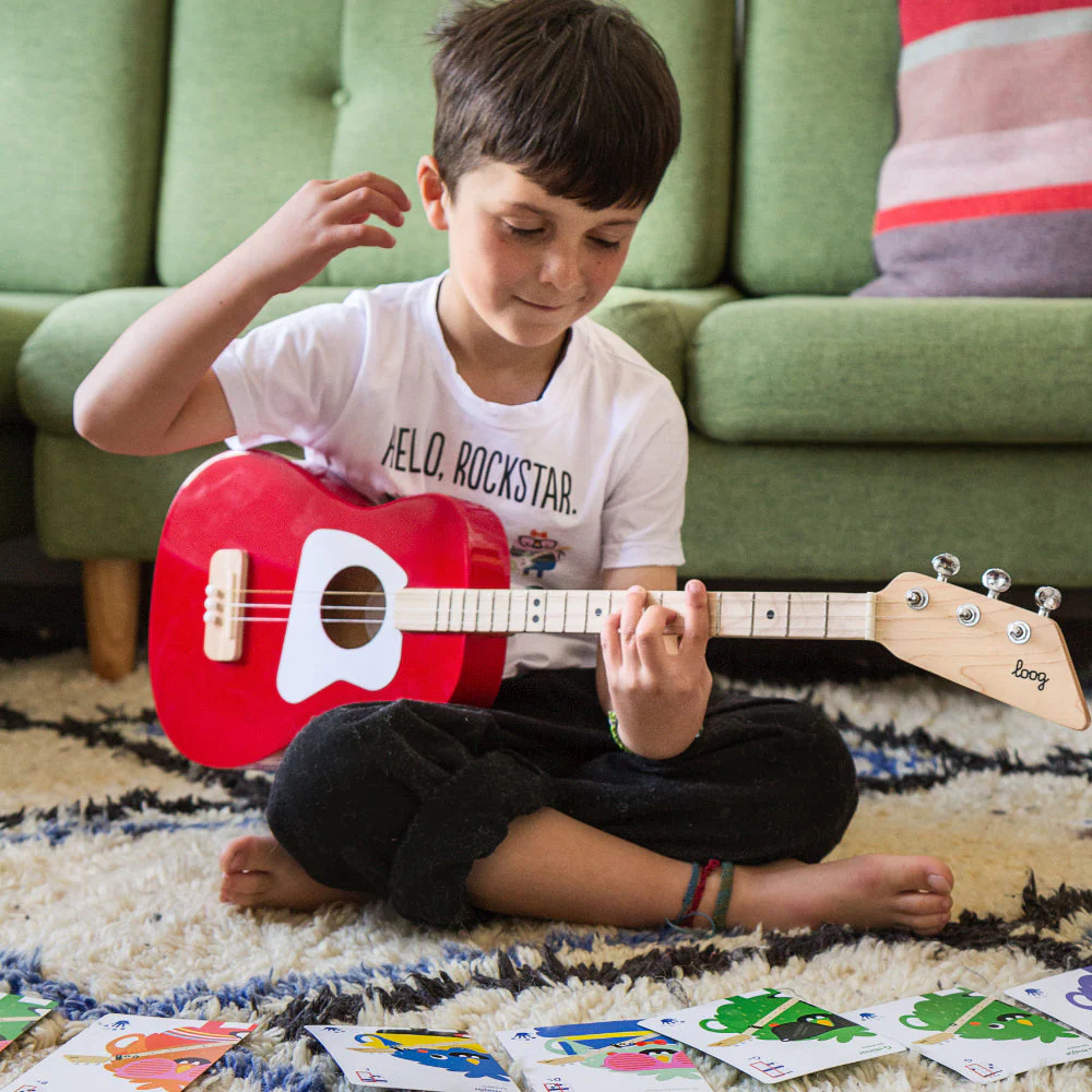 LOOG PRO ACOUSTIC - Image 8