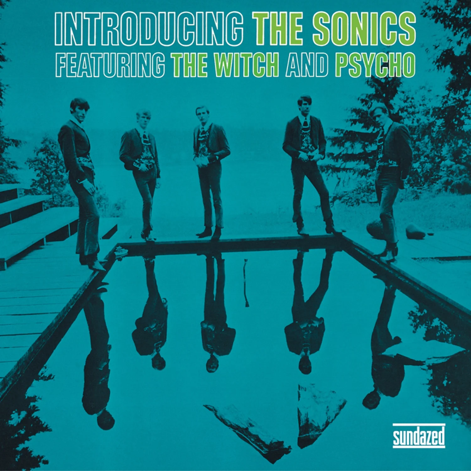 THE SONICS - INTRODUCING THE SONICS - VINYL LP - Image 2