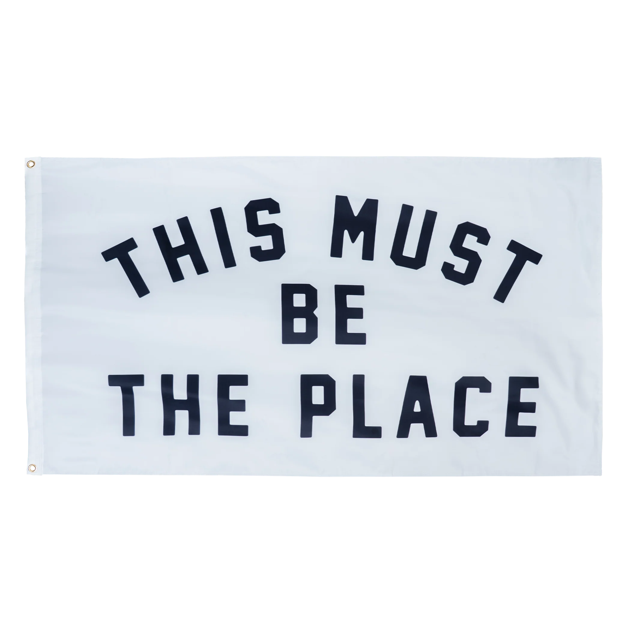 OXFORD PENNANT - THIS MUST BE THE PLACE OUTDOOR FLAG